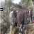 Breaking News : सोमवार सुबह सुंदरनगर में बड़ा बस हादसा, 1 की मौत 32 घायल
